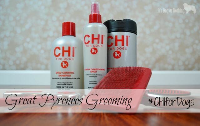 Chi dog shampoo best sale