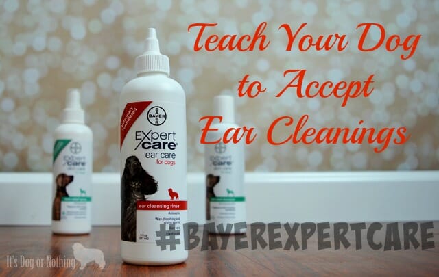 Dog ear clearance cleaning solution petsmart