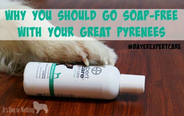 Best shampoo for great pyrenees best sale