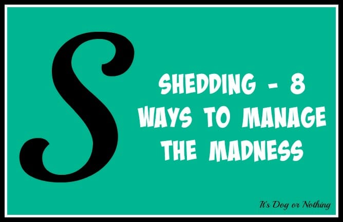 Shedding – 8 Ways to Manage the Madness [GIVEAWAY!]
