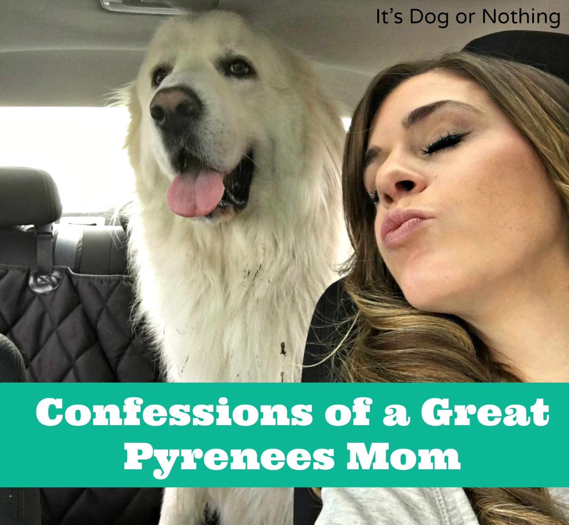Confessions of a Great Pyrenees Mom