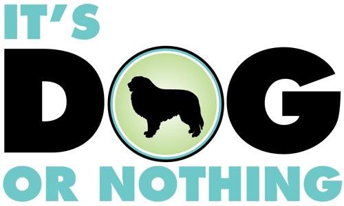 It's Dog or Nothing logo
