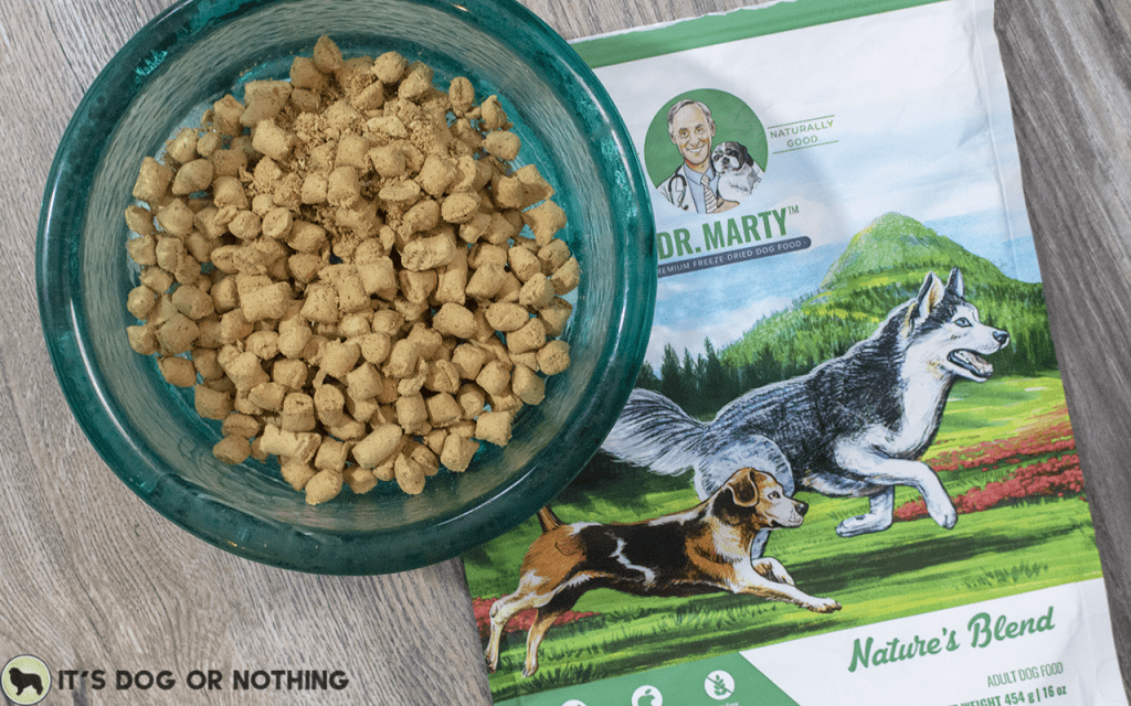 Great Pyrenees try Dr. Marty's freeze-dried raw dog food, Nature's Blend.