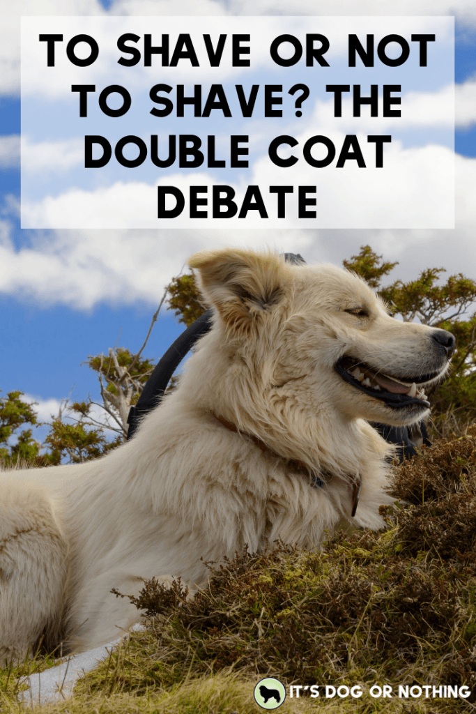 what does double coat on a dog mean