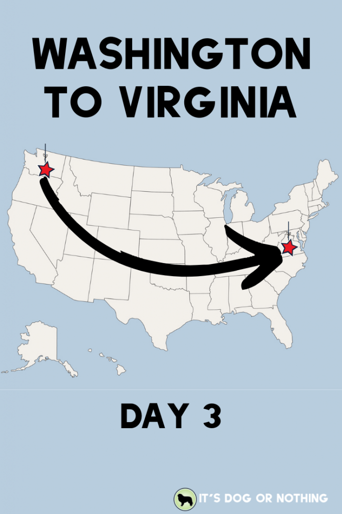 A recap of day three of our move from Washington to Virginia with four Great Pyrenees and a cat! | It's Dog or Nothing